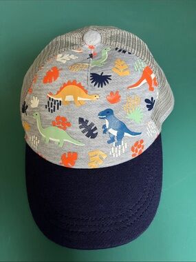 No Brand boy’s dinosaur ball cap.